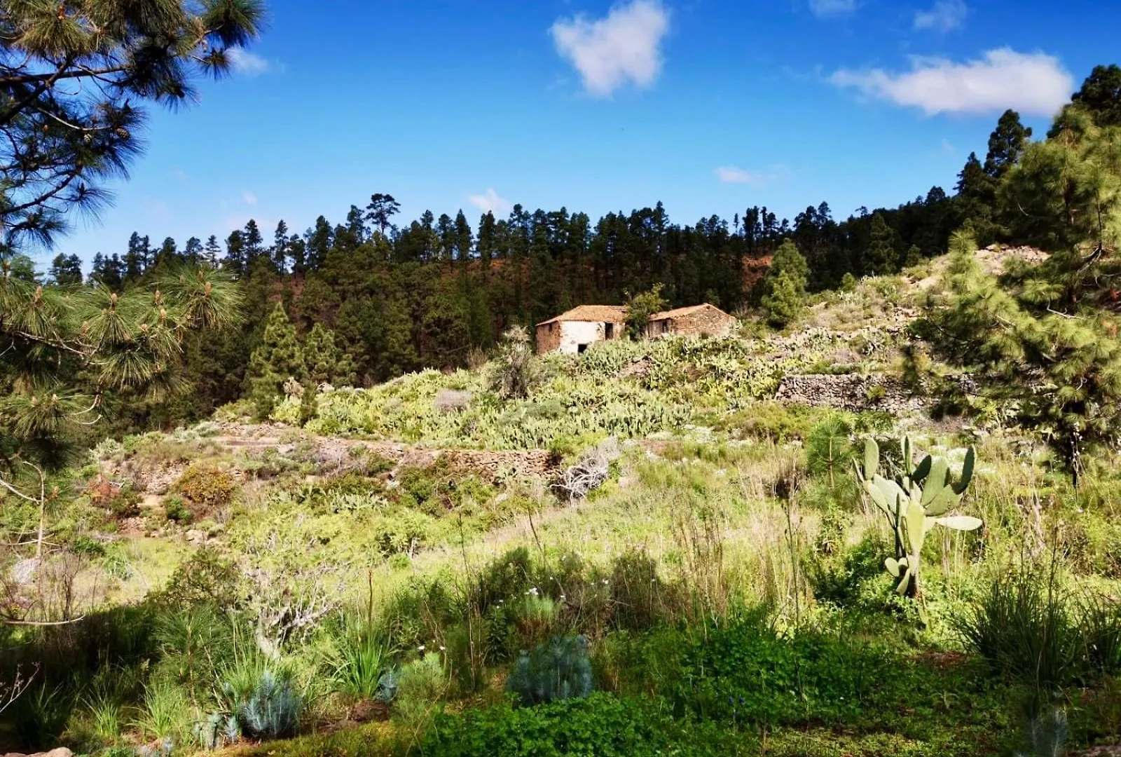 Tierrazul Art Boutique White Nordic Suite Costa Adeje  Costa Adeje (Tenerife)