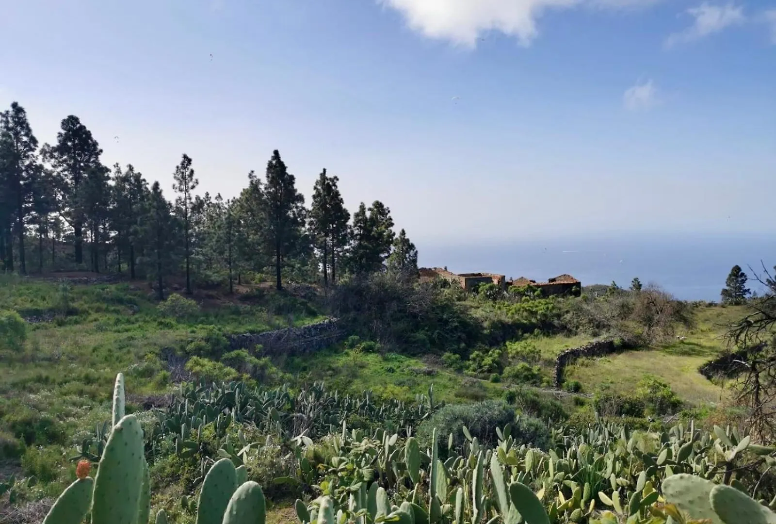 Tierrazul Art Boutique White Nordic Suite Costa Adeje  Apartament